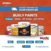 Buxly Paints Available on Zarea.PK