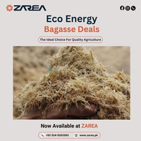 Bagasse Now Available at Zarea Limited