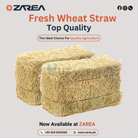 Wheat Straw Now Available on Zarea Limited