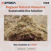 Bagasse Available on Zarea Limite - 1