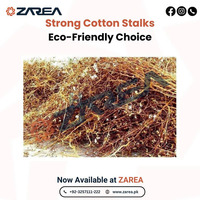 Cotton stalks Now Available on Zarea Limited